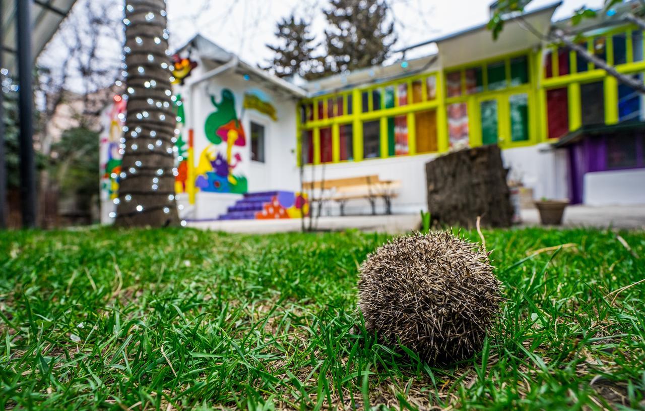 Zgarbi Hostel 트빌리시 외부 사진
