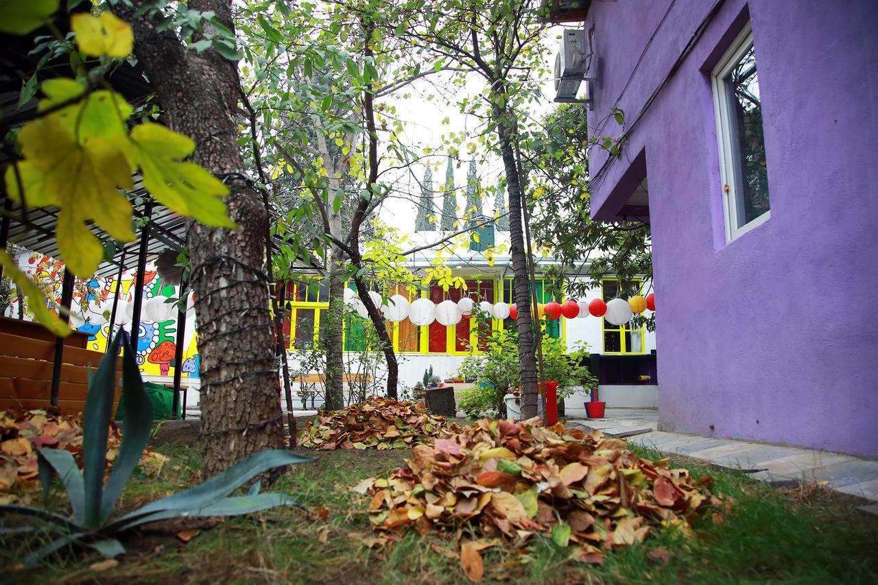 Zgarbi Hostel 트빌리시 외부 사진