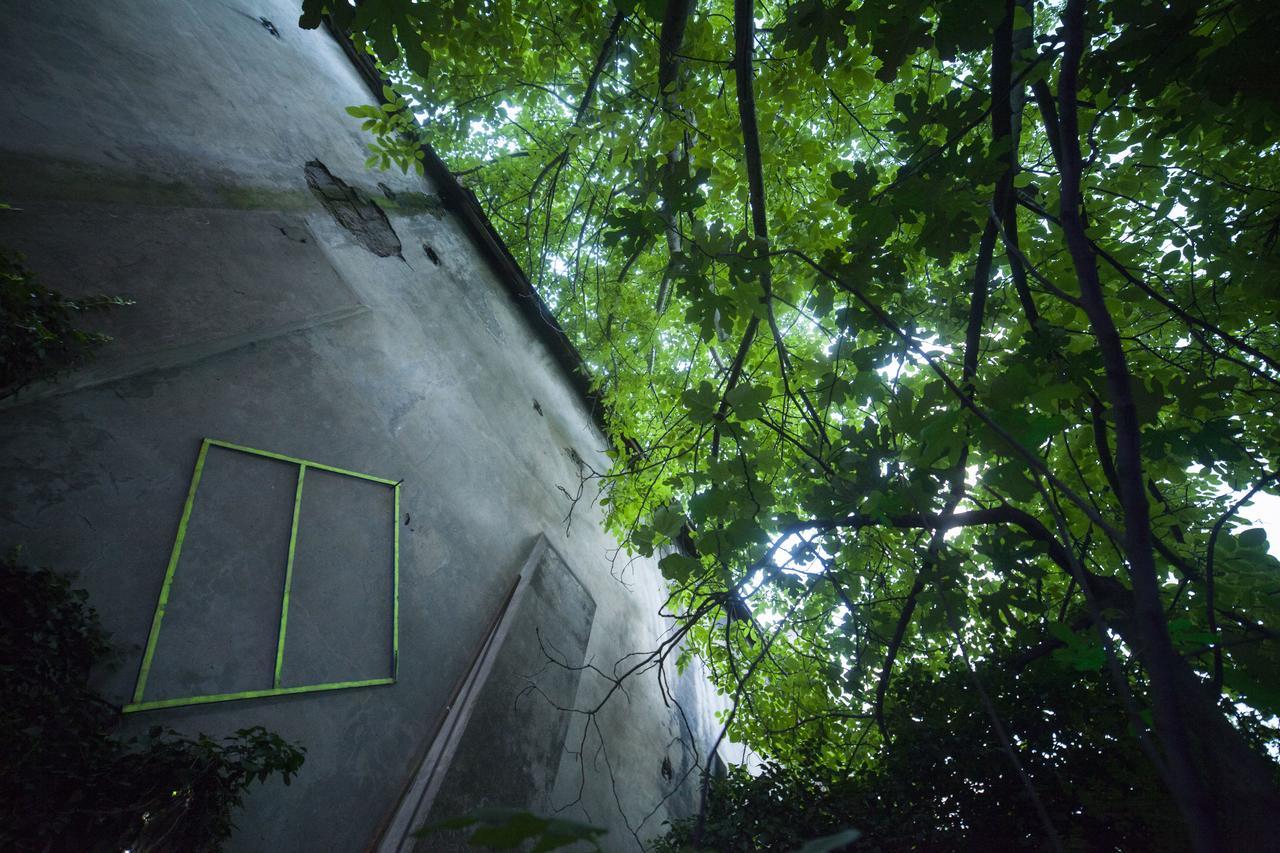 Zgarbi Hostel 트빌리시 외부 사진